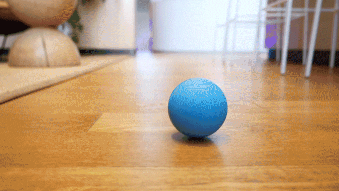 Умный мяч развлечёт питомца, пока никого нет дома (6 фото + видео)