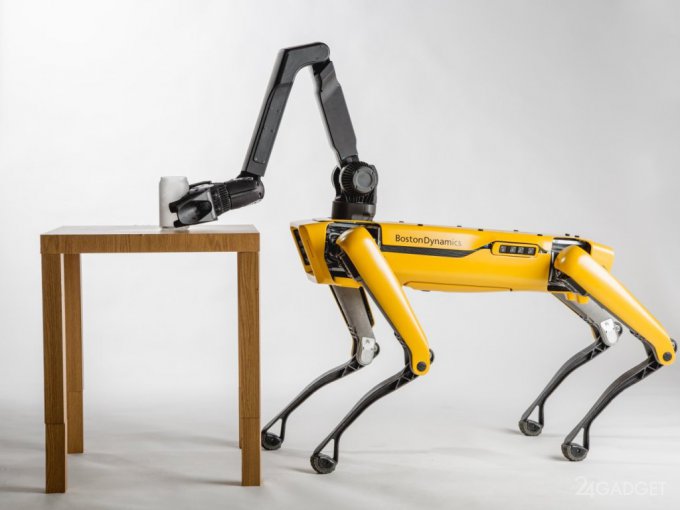 Boston Dynamics начнёт продавать робопсов уже в этом году (3 фото + 4 видео)