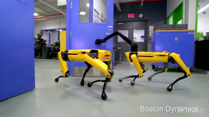 Boston Dynamics начнёт продавать робопсов уже в этом году (3 фото + 4 видео)