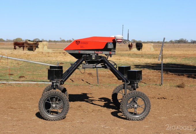 Автономные роботы вытеснят пастухов и фермеров в Австралии (6 фото + 3 видео)