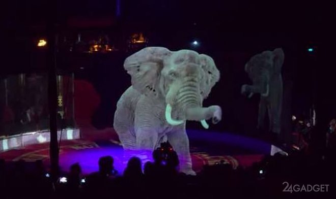 Немецкий цирк заменил номера с животными на шоу реалистичных голограмм