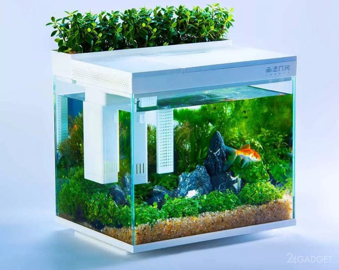 Смарт акваріум від Xiaomi (5 фото)