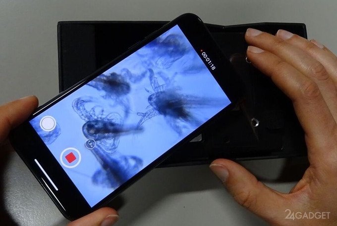 Устройство DIPLE превращает смартфон в микроскоп с 1000 увеличением (3 фото + видео)