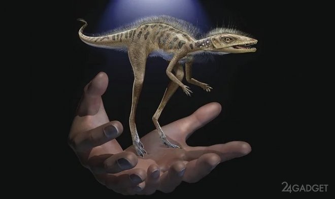 На Мадагаскаре найдены останки карликового динозавра высотой 10 см