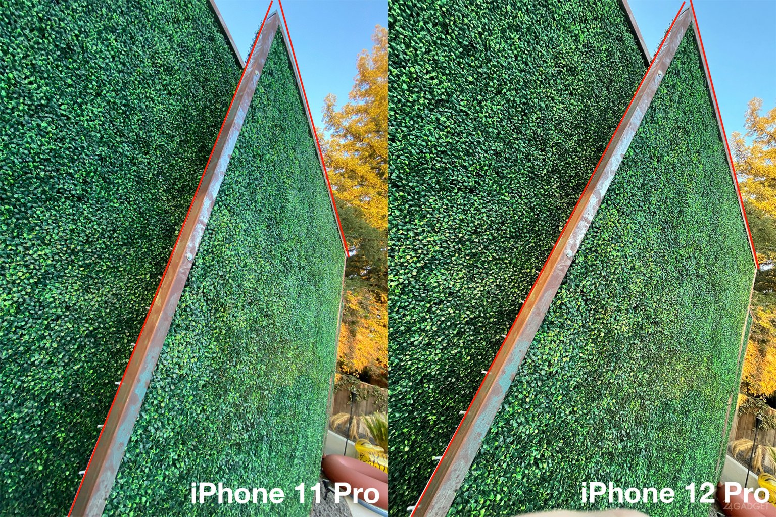 Айфон 12 И 11 Сравнение Фото