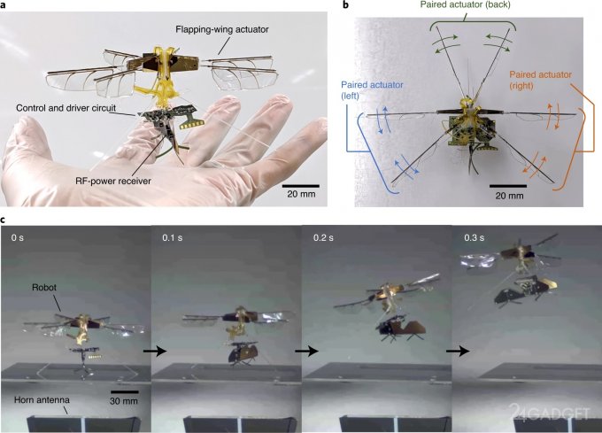 Ученый показал мини-дрон, который похож на насекомое Новости