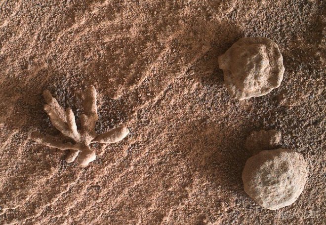 Марсоход Curiosity обнаружил «каменный цветок» на Марсе (2 фото)