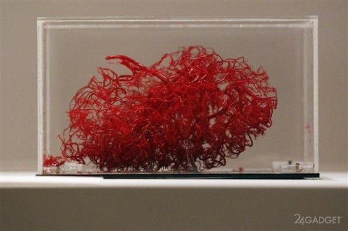 На 3D-принтере с помощью льда напечатали кровеносные сосуды (2 фото)