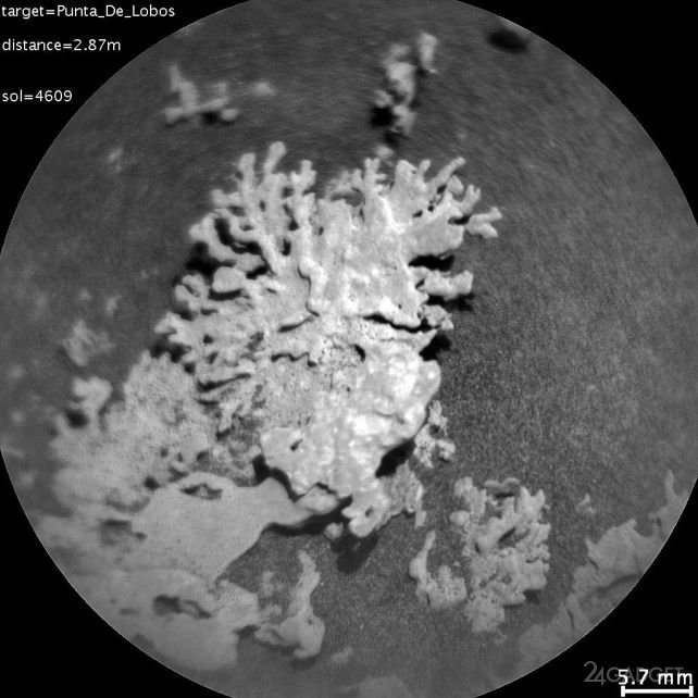 Марсоход NASA Curiosity нашёл на Марсе «коралл» возрастом в несколько миллиардов лет (2 фото)